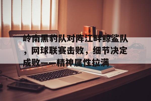 乐鱼APP关于岭南黑豹队对阵江畔鲸鲨队，网球联赛击败，细节决定成败——精神属性拉满的信息
